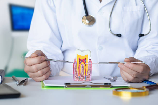 Best Emergency Root Canal Treatment in Lake City, PA